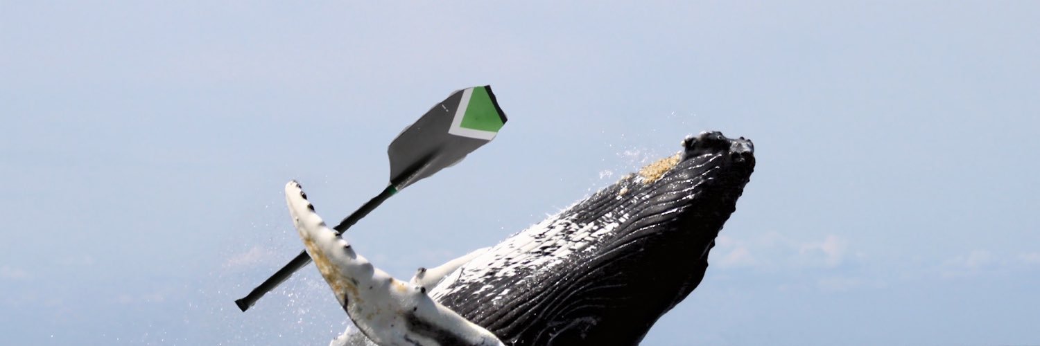 ChesterBeaver's profile banner image