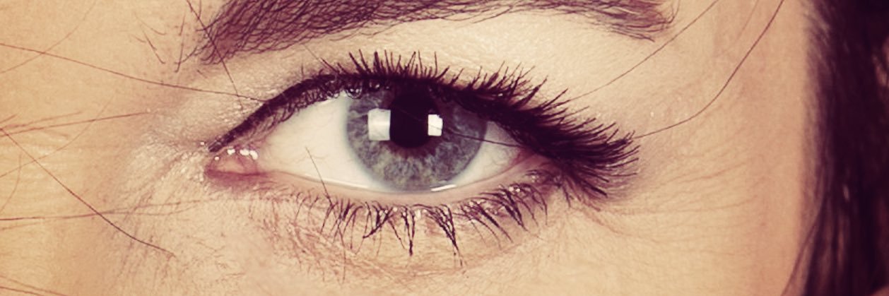 Amy Gallant Sullivan banner