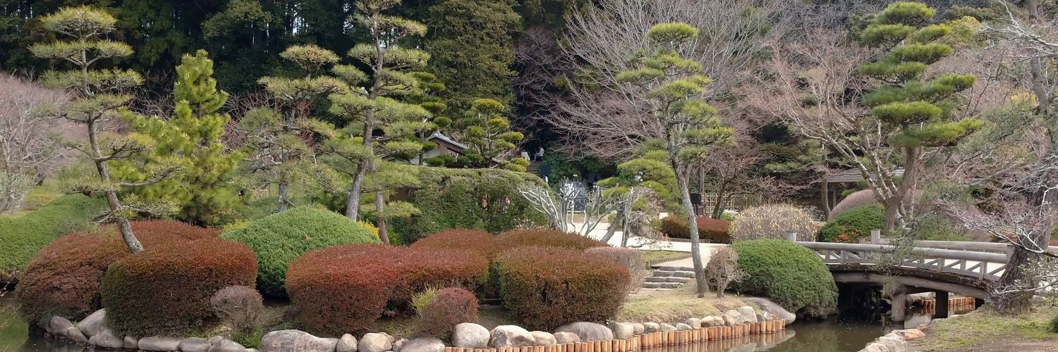 蕨 banner