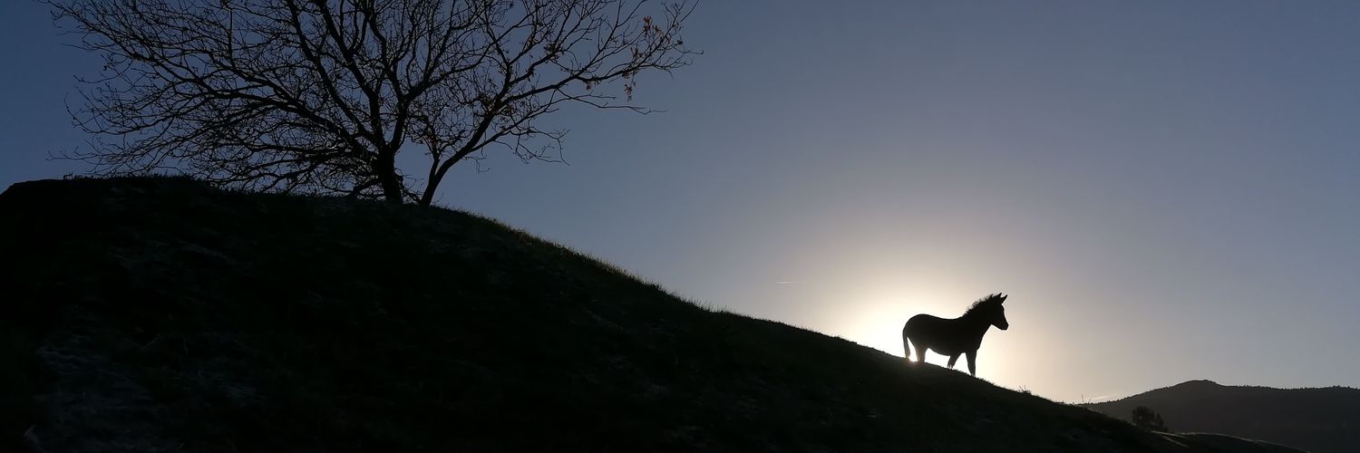 ManuelDeRoque's profile banner image