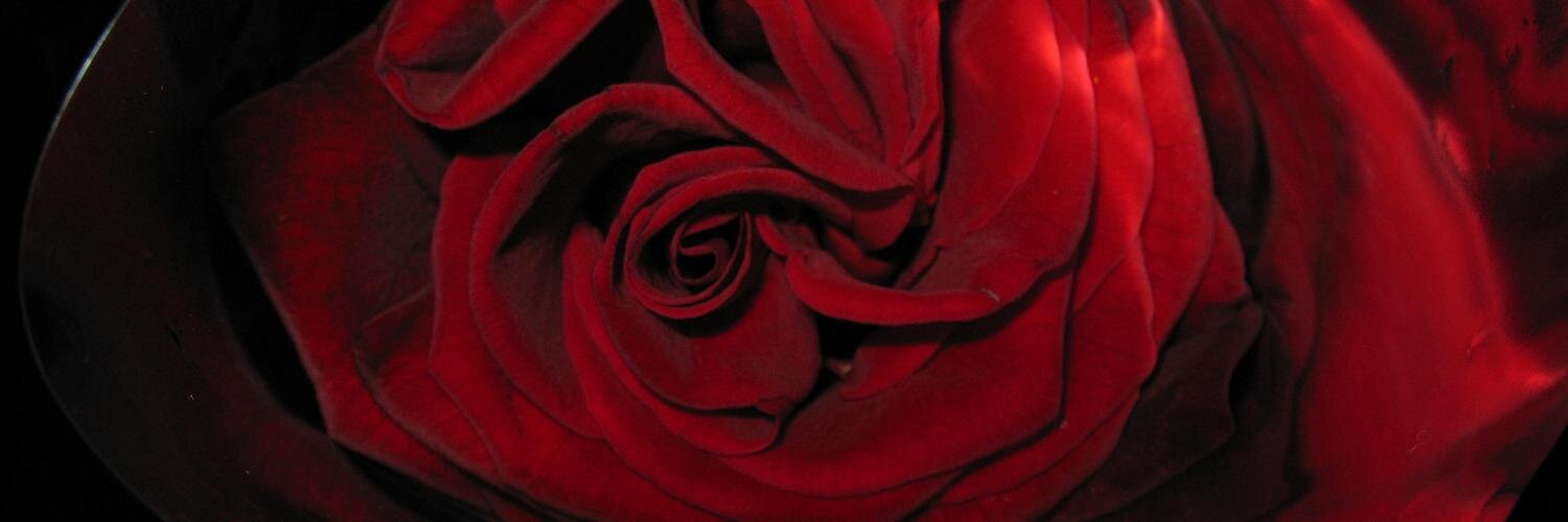 DarkAngel22585's profile banner image