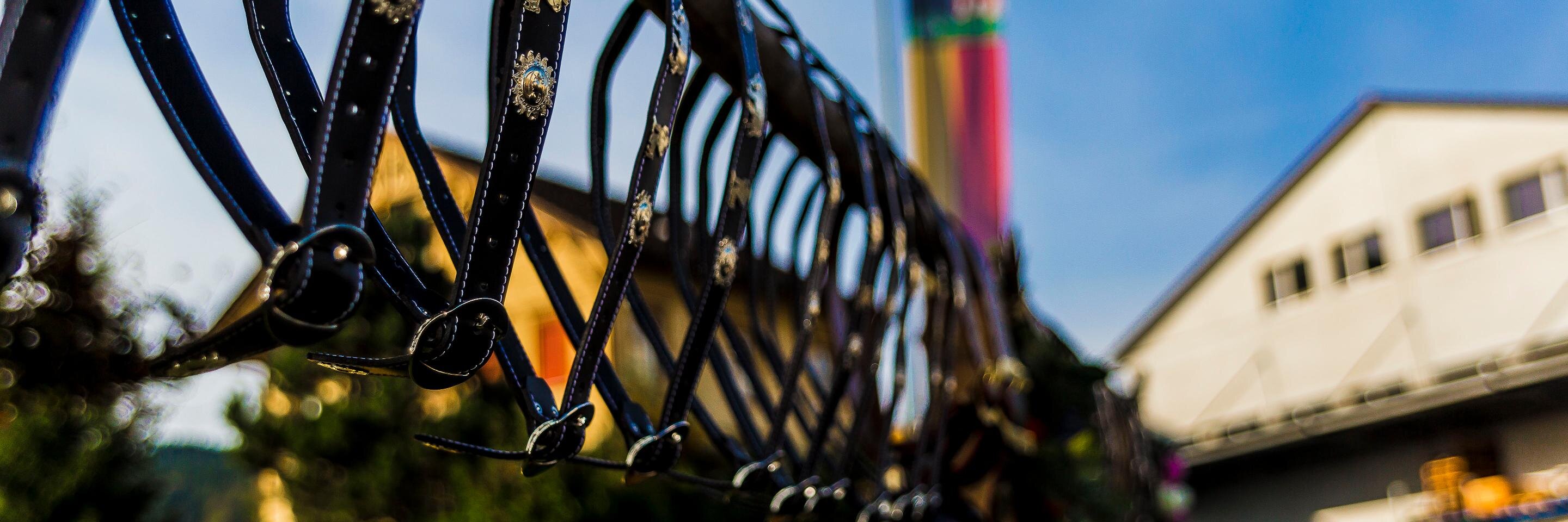 freylis1's profile banner image
