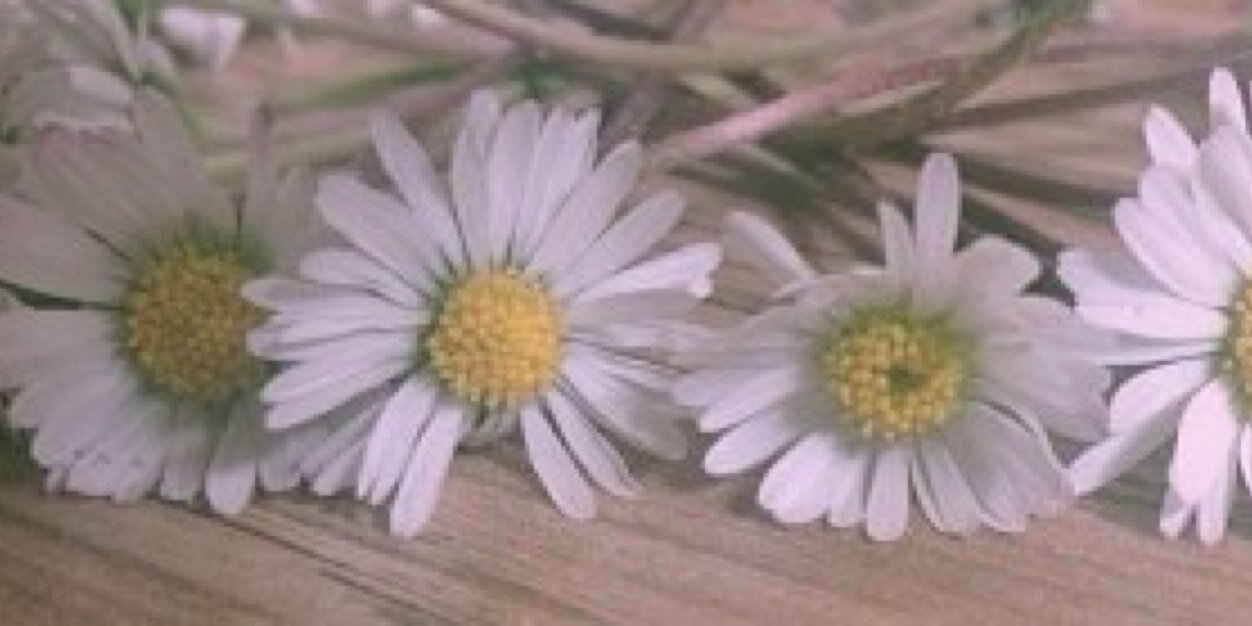 _paigemck's profile banner image