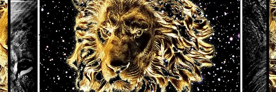 StillillCEO's profile banner image