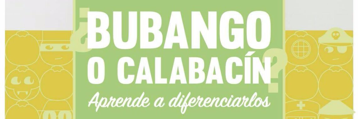 RedCanariaDeSemillas banner