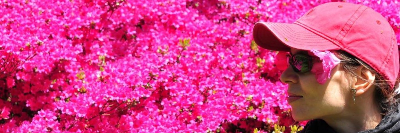 eva_gardener's profile banner image
