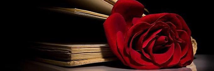 Abdullah_Ali36's profile banner image