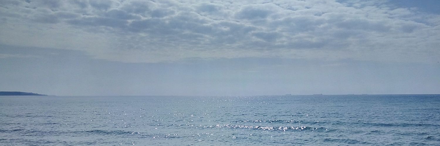 esuschua's profile banner image