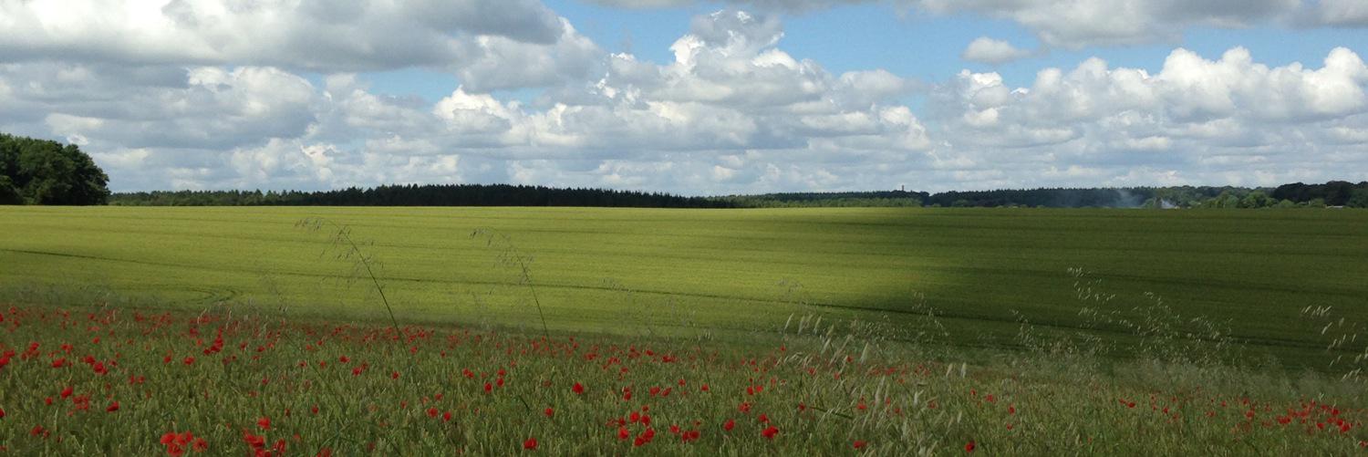 dibberzley's profile banner image