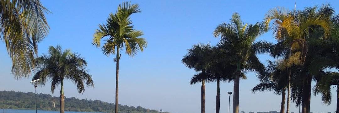 dickson_katto's profile banner image