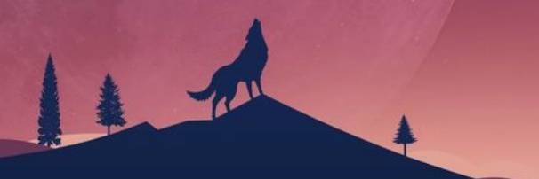 ConnorX_0's profile banner image