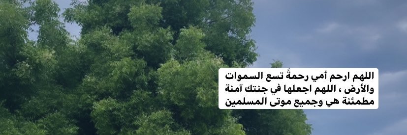 Mezna_j91's profile banner image
