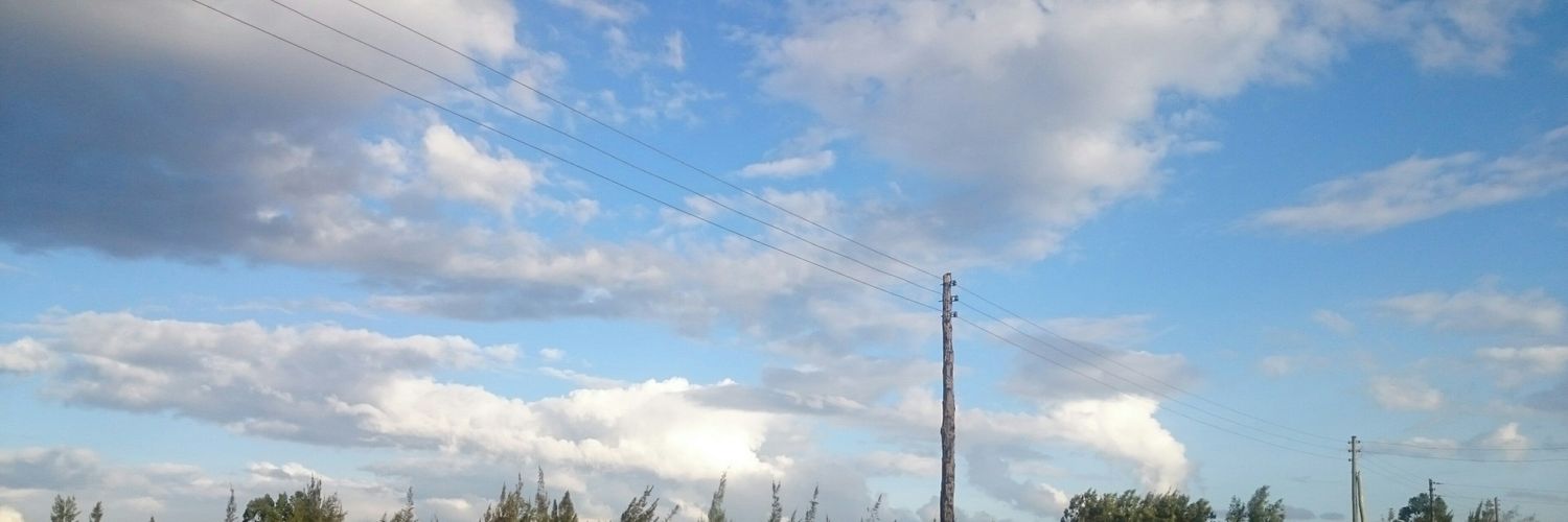 Merlyne_Akwir's profile banner image