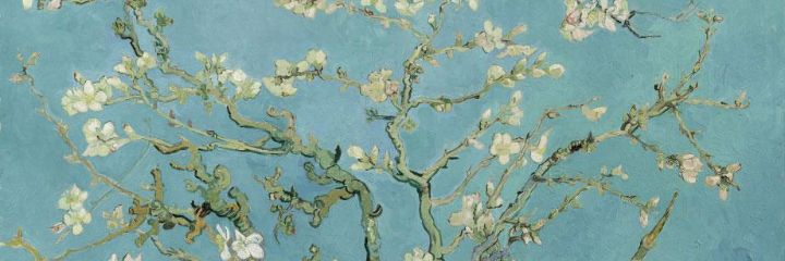 anna luglio 👠 banner