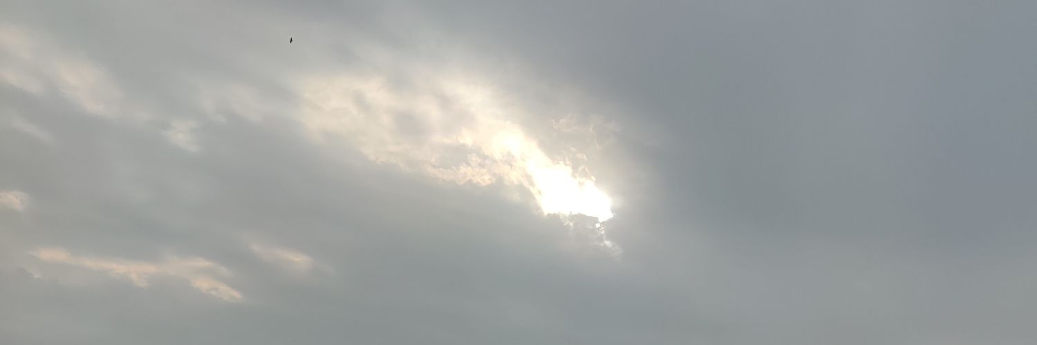 boracupid's profile banner image