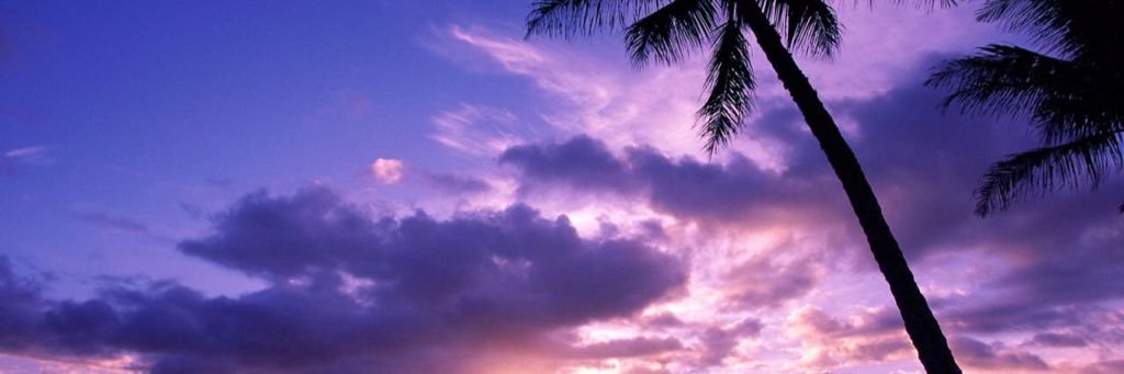 Kimi_Suki_'s profile banner image