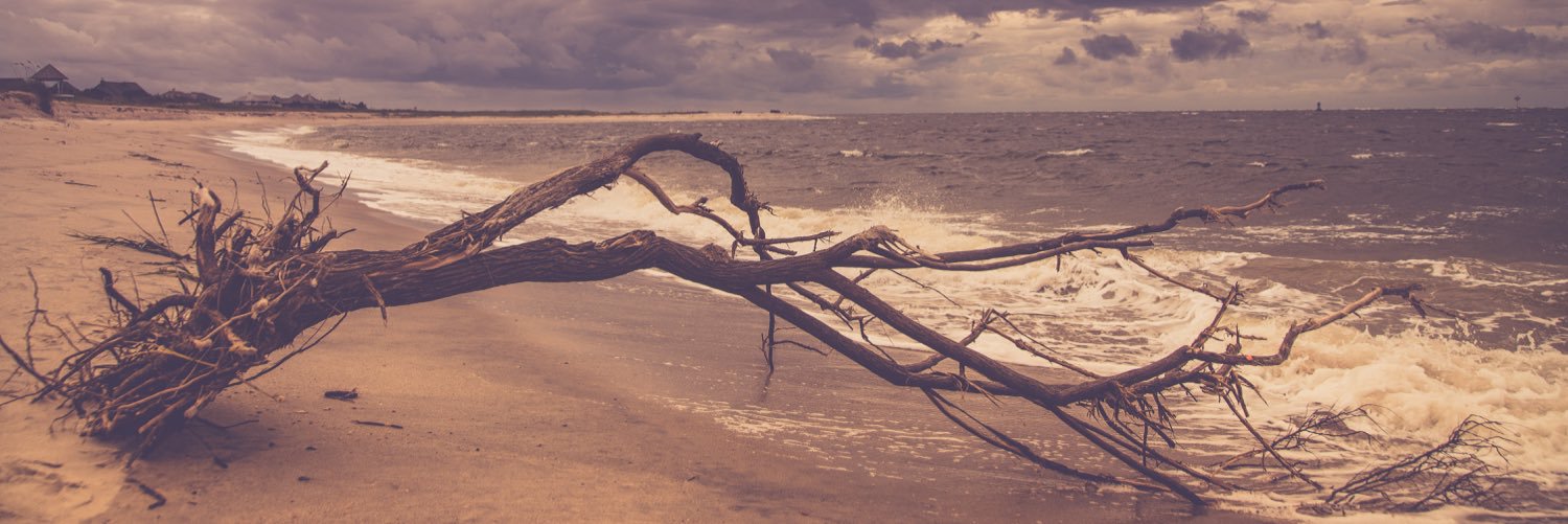 AcquistaE's profile banner image