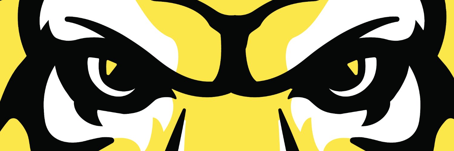 saa_fh's profile banner image