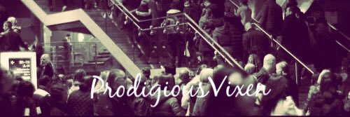 ProdigiousVixen's profile banner image