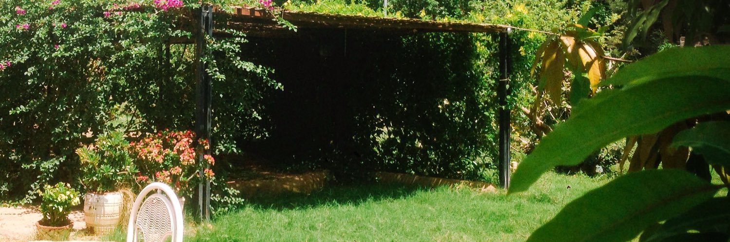 WdElgnih's profile banner image