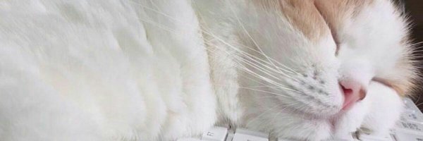 TryxnsTV Profile Banner