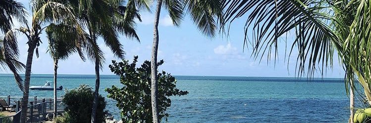 iscreamsocial_'s profile banner image