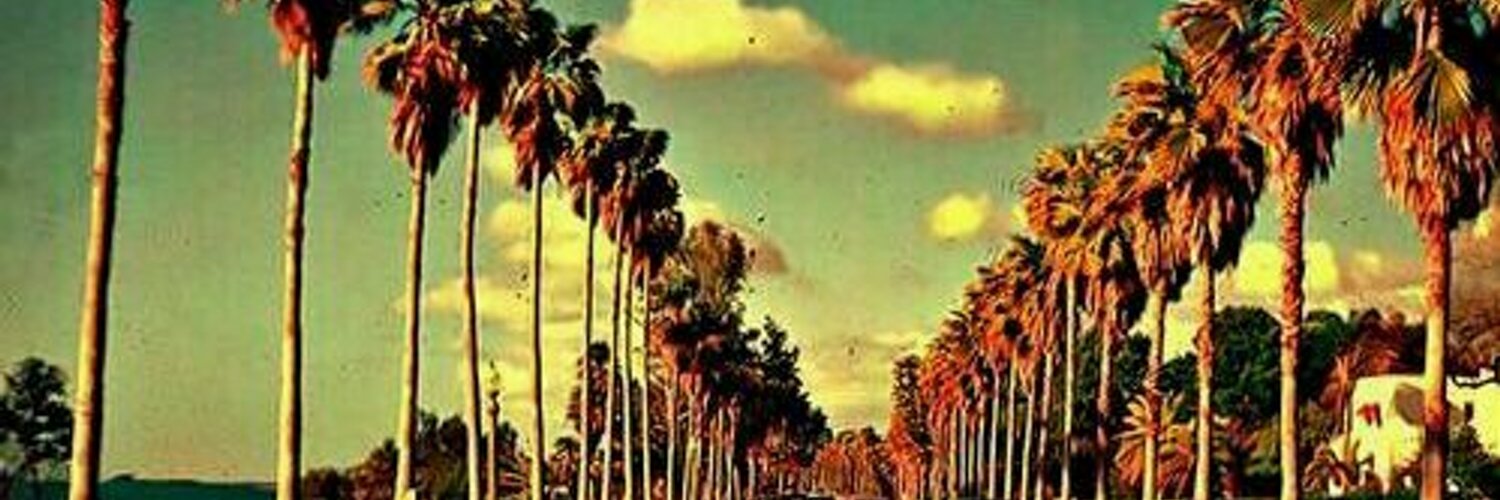 Beckss__93's profile banner image