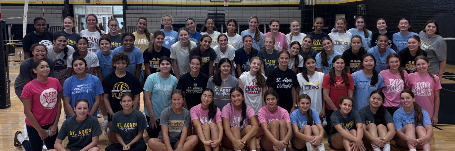 SAA Volleyball banner