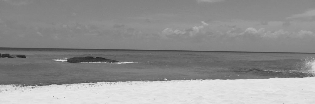 roxycooper7's profile banner image