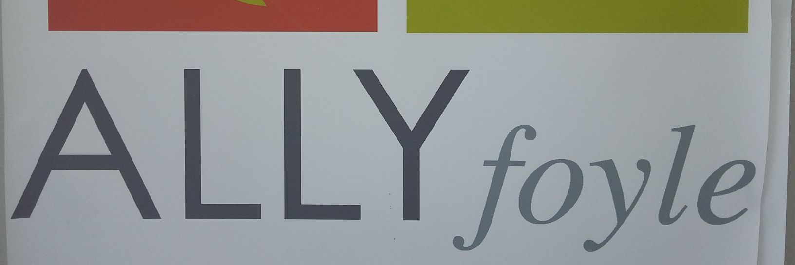 ALLY Foyle (Network of older people's groups) banner