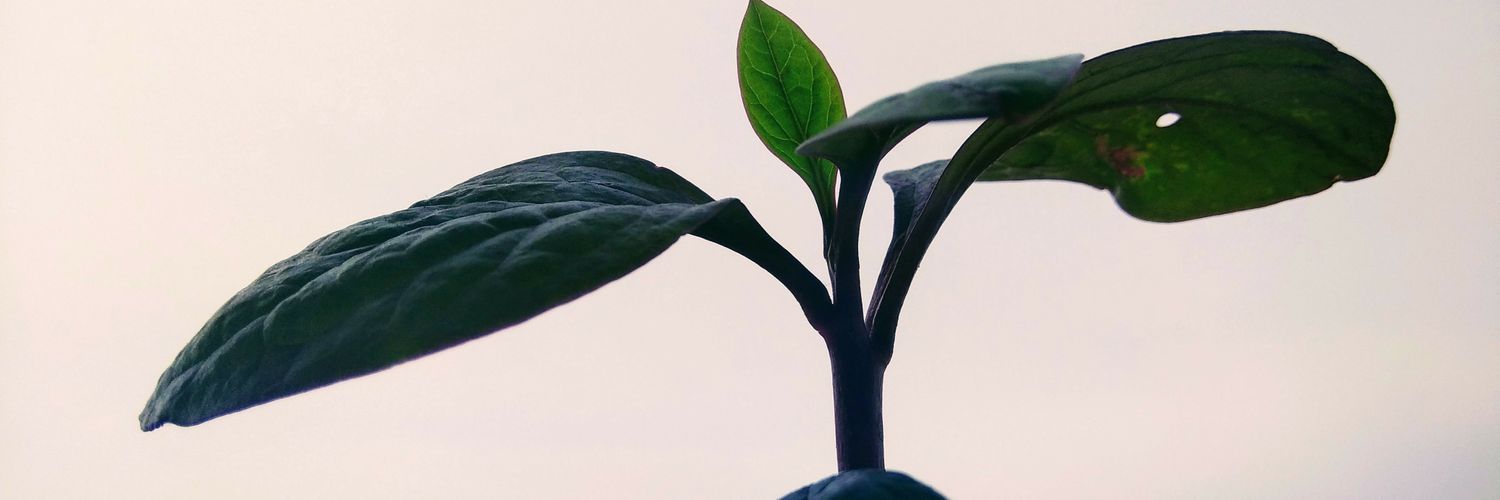 imragupathi's profile banner image