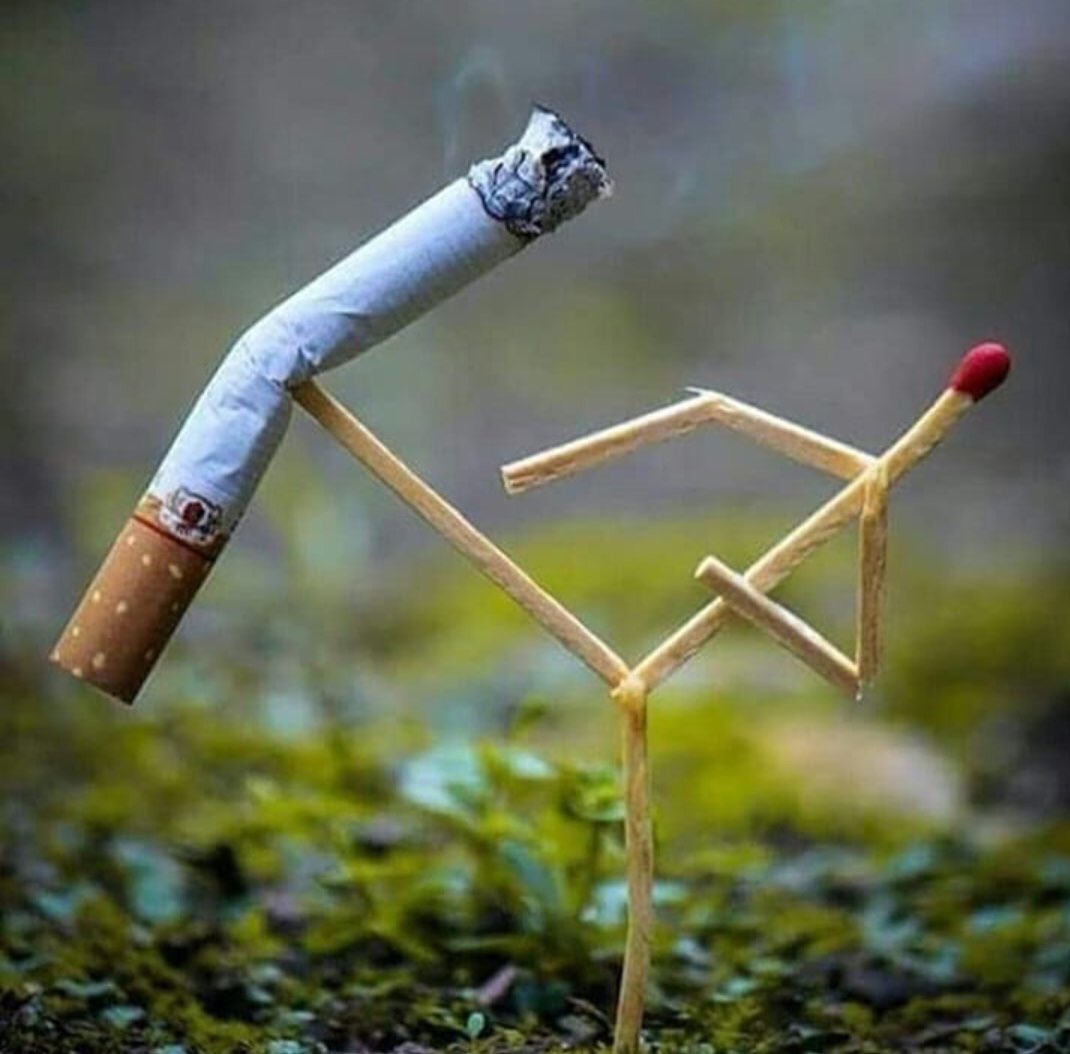 MrDojo🇳🇬🇳🇬💔💔😞😞 banner