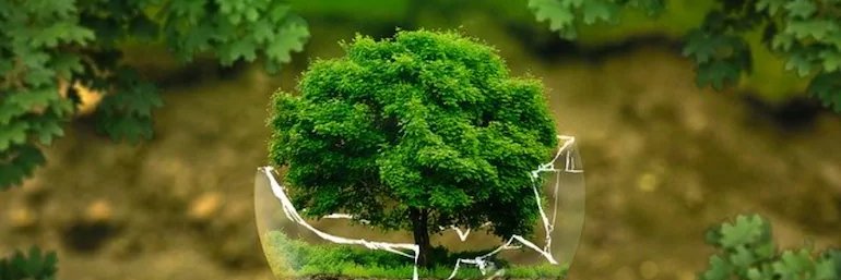 prasannalian's profile banner image