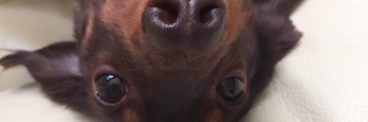st___116's profile banner image