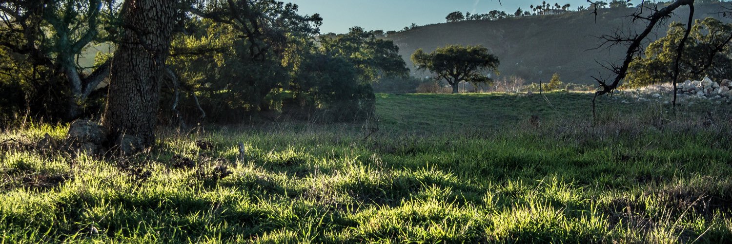 earthandash's profile banner image