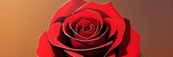LidiaCardozo111's profile banner image