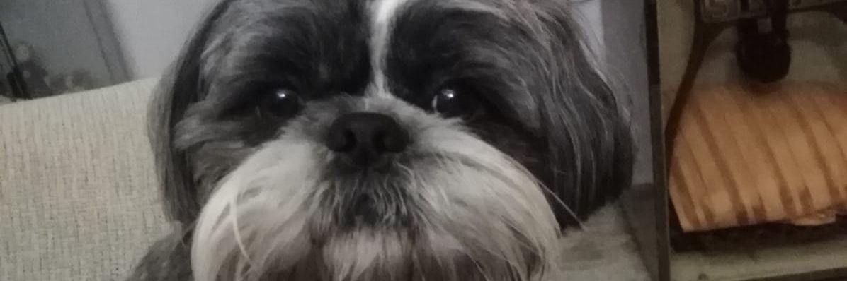 consupoti's profile banner image