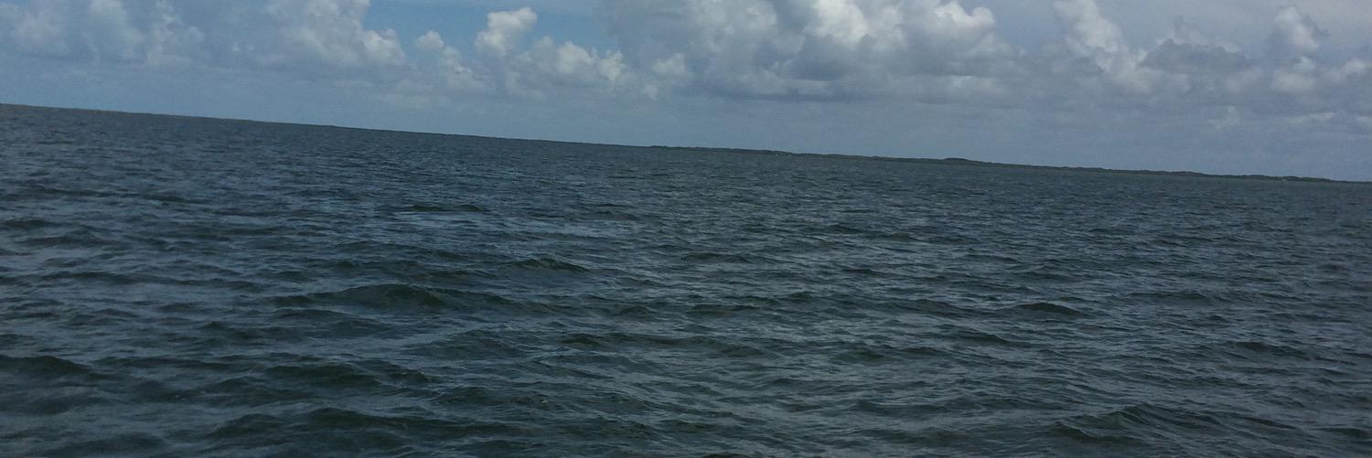 pgonzalez03's profile banner image