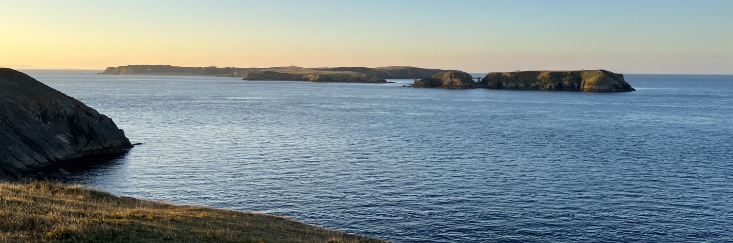 Siân Rilstone banner