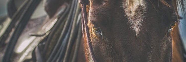 _AmaniAlsubaie's profile banner image