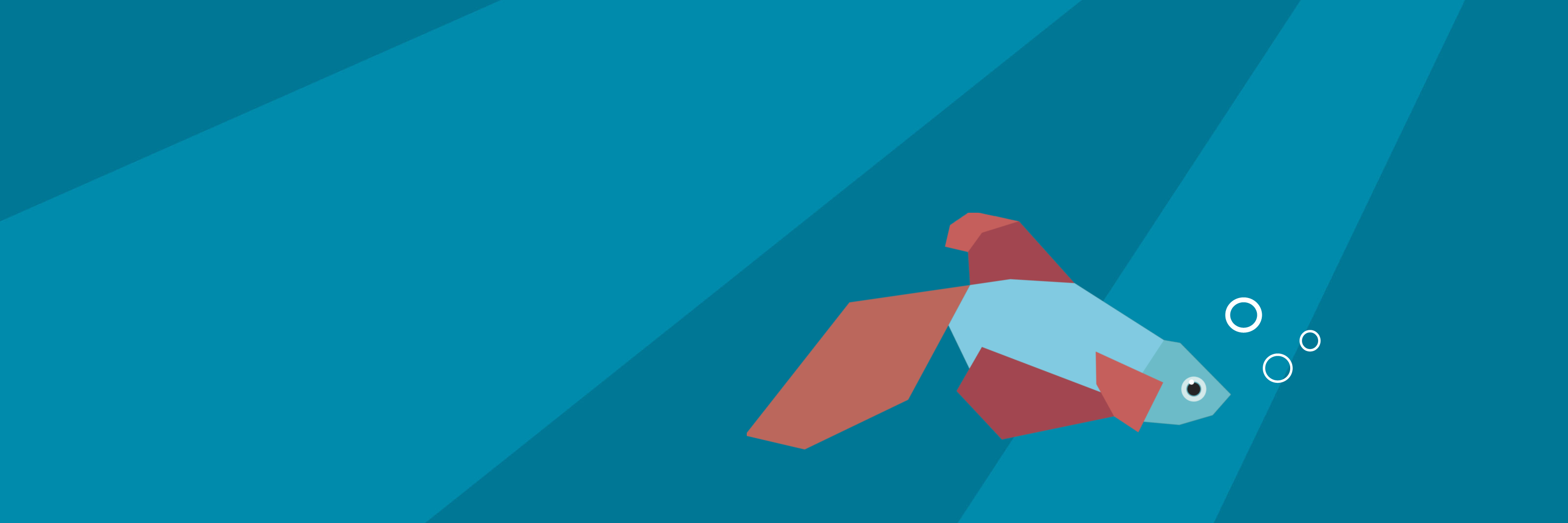 Ryan Johnson banner