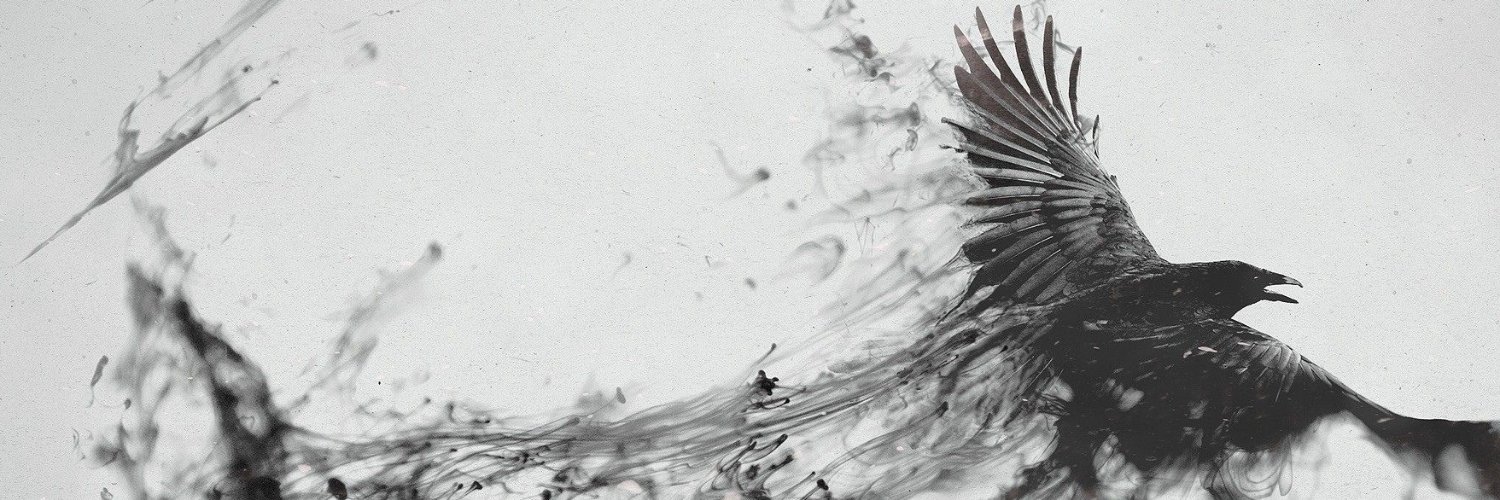 ravengoth69's profile banner image