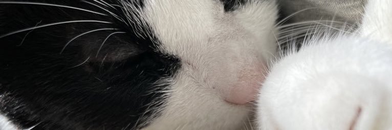 nrmnCkwb's profile banner image
