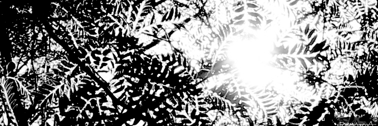 formatova's profile banner image