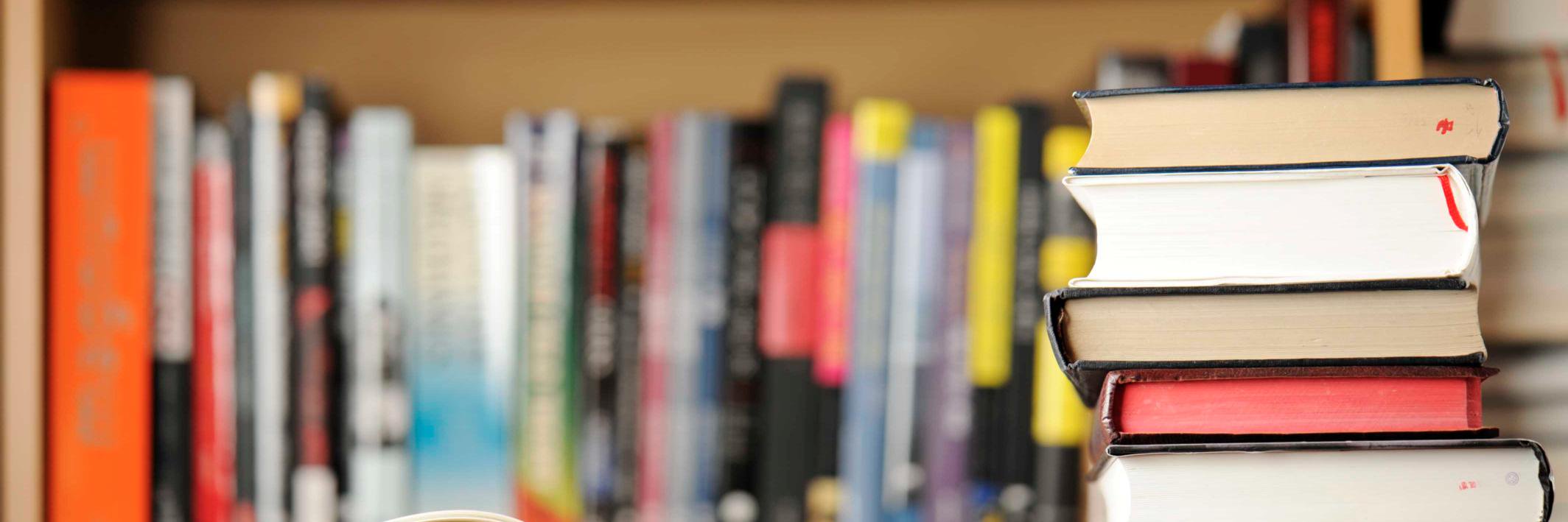 KidLitParadise's profile banner image