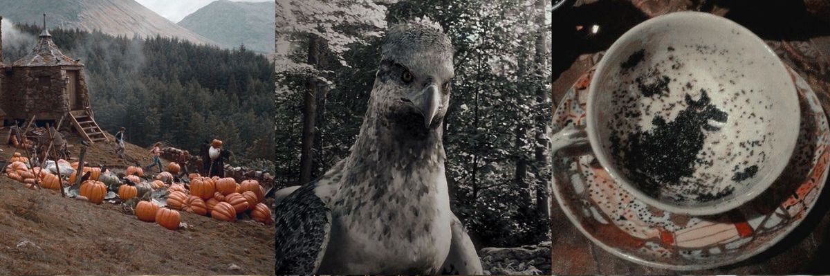 shewolfxm's profile banner image