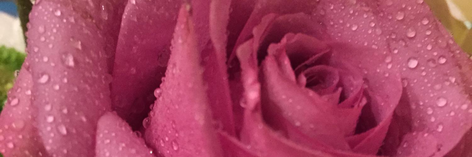 amhamad5's profile banner image