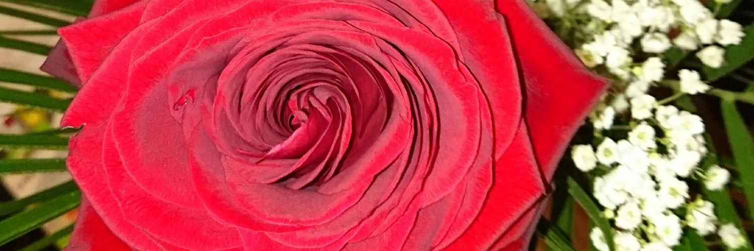 annekatrin273's profile banner image