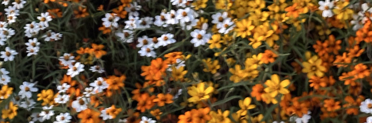 Aero (fog) Akira banner