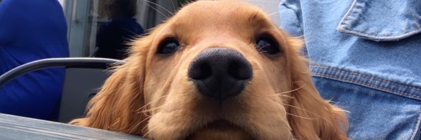 katiesime_'s profile banner image